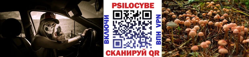 купить   Ильский  Псилоцибиновые грибы Magic Shrooms 